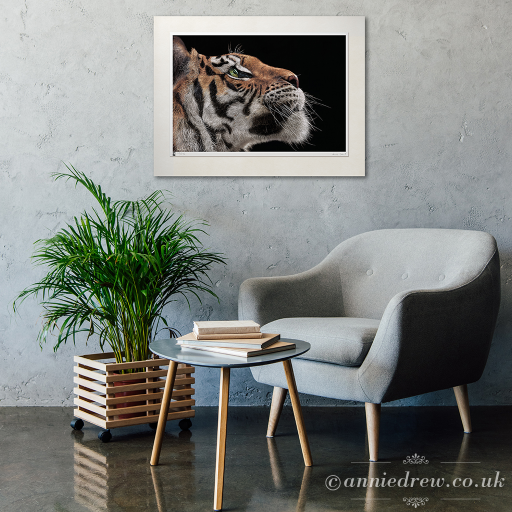 A Wildlife Print of a Tiger is hanging on the wall, with a pot plant and empty chair in the foreground. 