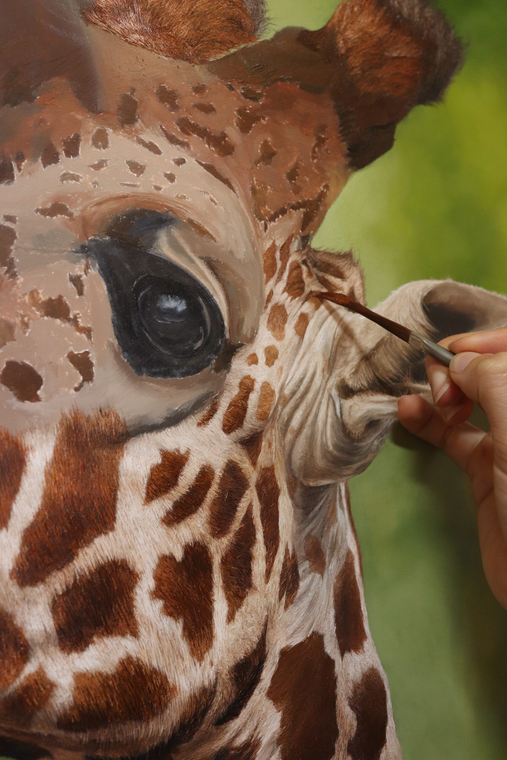 Painting the giraffes ear