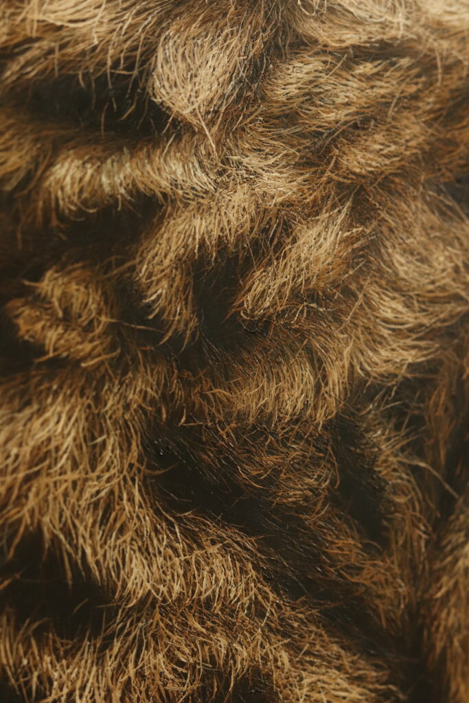 Close up look at the Cheetah Painting