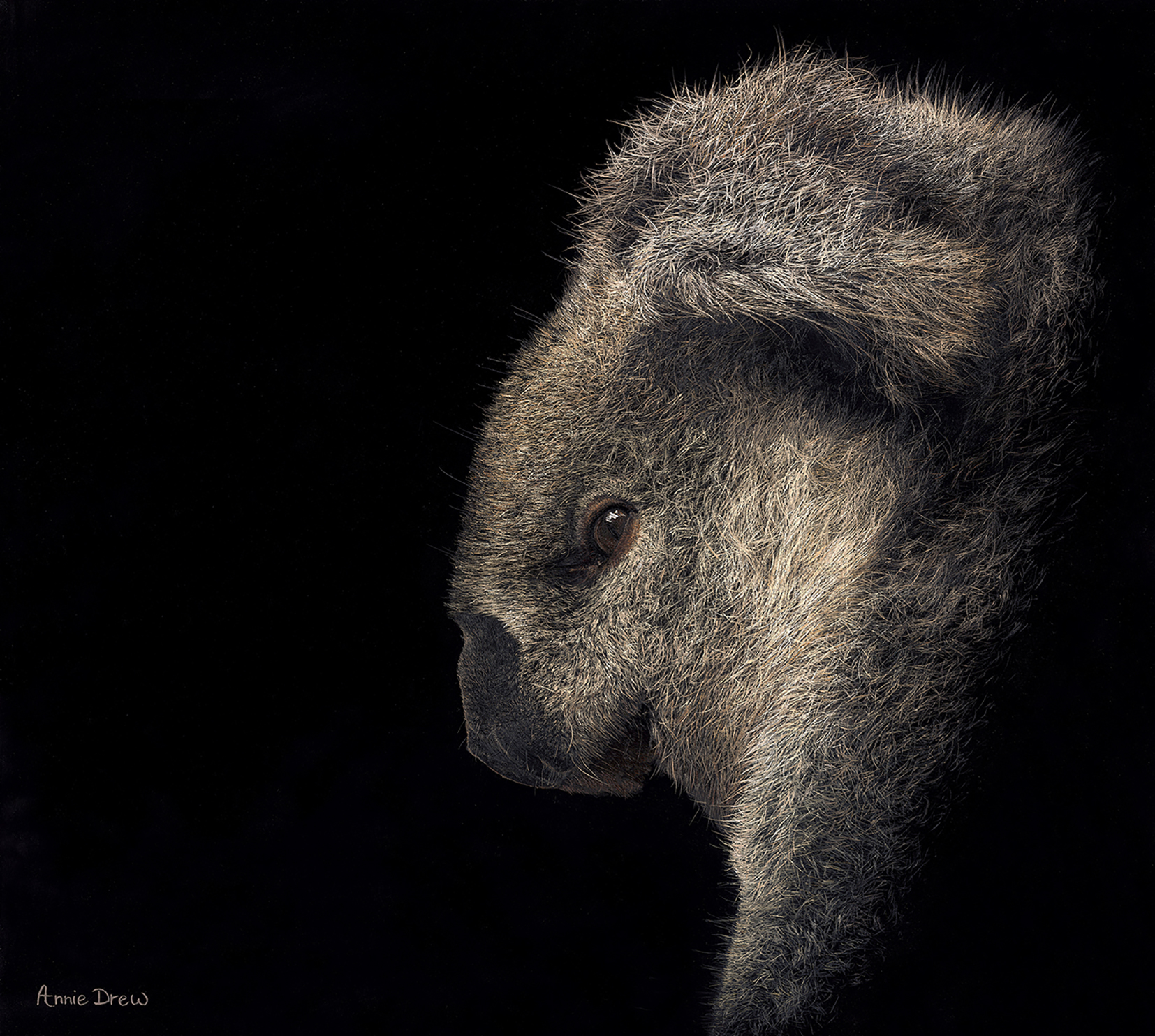 Annie Drew Wildlife Art